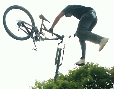 fly