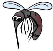 mosquito