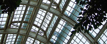 palmenhaus_01_363