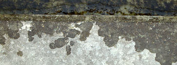 treppe_01_363