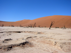Das Deadvlei ist mitten in der Wüste Namib, ein salzüberkrustetes, unglaublich heißes Tal inmitten roter Dünen, in dem seit Hunderten von Jahren kein Leben eine Chance hat.