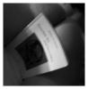 Buch und feiner po
