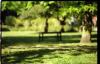 Kellinghusenpark