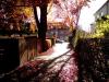 autum mit neuem handy