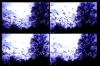 baum und action und fogis