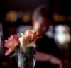 chaosblumen