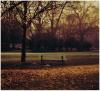 herbstbild vom feinsten von profan und morphium