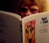 lesen lesen lesen