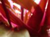 roter Moment