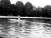 stadtpark