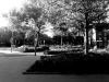 strassburger platz1