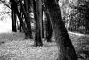 volkspark 1