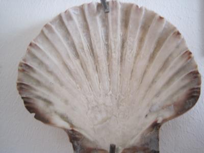 Foto-Thilo-Goetze-Regenbogen-2012