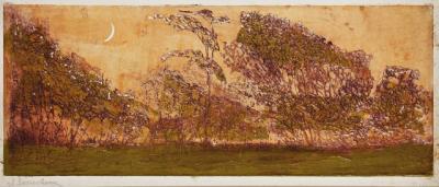 Gerresheim_Mond-ueber_Buschgehoelz-1903-kl