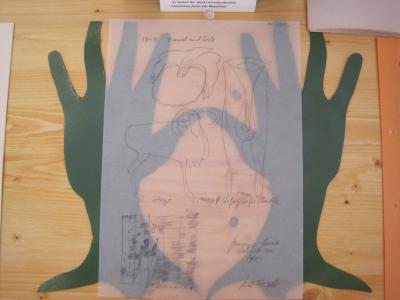 Feldbefreier Vitrine 1 Joseph Beuys 2011 Detail