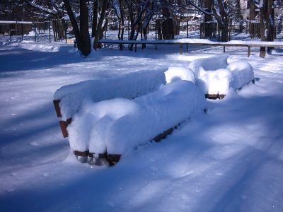 Im Tierpark: Schnee!