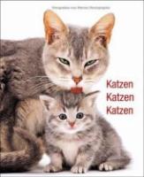 Jane-Burton-Katzen-Katzen-Katzen