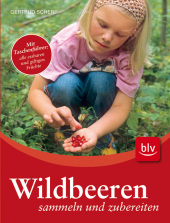 wildbeeren-sammlen-und-zubereiten