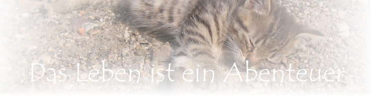 wechselheader3