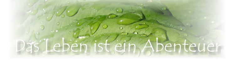 wechselheader7