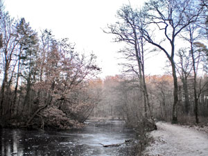 oberschweinstiege3_kl