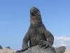 Galapagos-Inseln