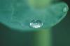 image043