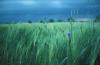 image044