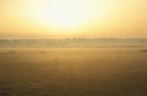 image062