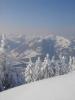 DSC01988_WEB