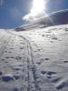 DSC02424_WEB