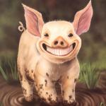 schwein