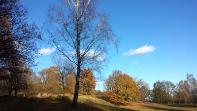 herbst3