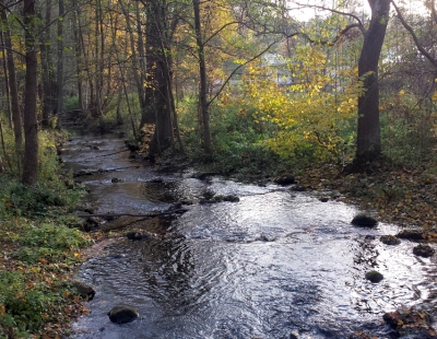 herbst6