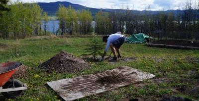 Pflanze Bäume zum späteren Windschutz Pflanze Bäume zum späteren Windschutz