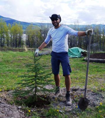 Mein erster Baum Mein erster Baum