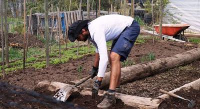 Unkraut jäten Unkraut jäten