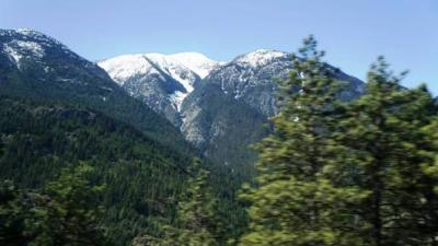 Berggipfel und Baumwipfel Berggipfel und Baumwipfel