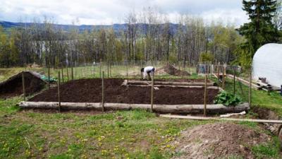 Gartentotale Gartentotale