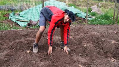 Setze Kartoffeln Setze Kartoffeln