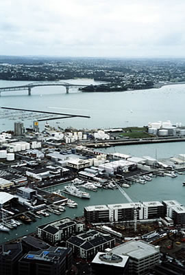 blick auf americas cup hafen von sky tower