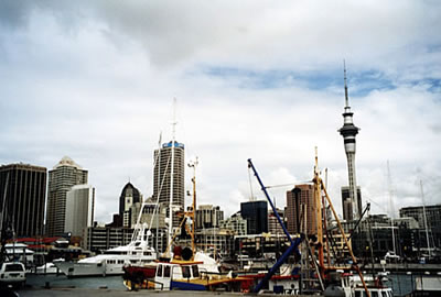 hafen von auckland