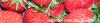 footer_erdbeeren