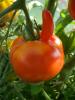 Mann-sucht-Frau-