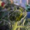 upps-was-ist-denn-das-