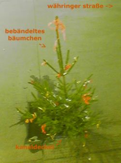 gehsteigskanaldeckelweihnachtsbäumchen. wien, währingerstraße. 12 06 gehsteigskanaldeckelweihnachtsbäumchen. wien, währingerstraße. 12 06