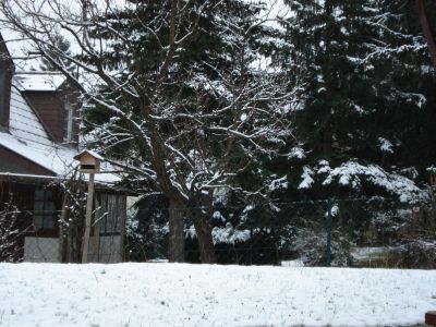 blick aus meinem fenster, 23.01.07 (der erste schnee in diesem winter) blick aus meinem fenster, 23.01.07 (der erste schnee in diesem winter)