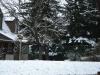 blick aus meinem fenster, 23.01.07 (der erste schnee in diesem winter)
