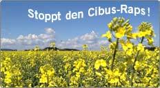 button_cibus_raps