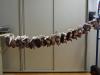 20140930_143647-001